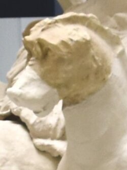 Foto Hans-Jörg Lauffer