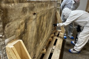 3. Makroskopische Begutachtung Der Platte 1